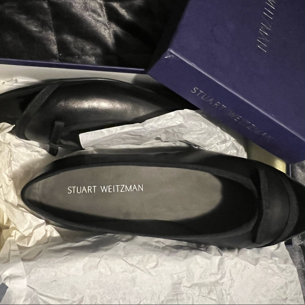 Gorgeous Stuart W Shoes